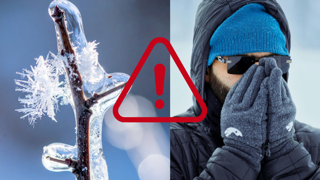 Počasie môže opäť napáchať poriadne škody. Poľnohospodári by si mali dať pozor na vlnu mrazov