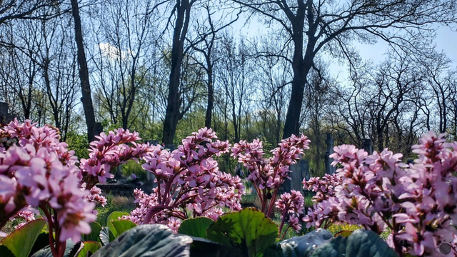 Dnes je najteplejšie. Teplota vystúpila na +24,1 °C, ale neuveríte, kde je najteplejšie