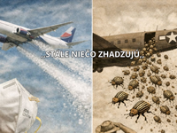 Dnes nás práškujú. V minulosti vraj Američania zhadzovali mandelinky