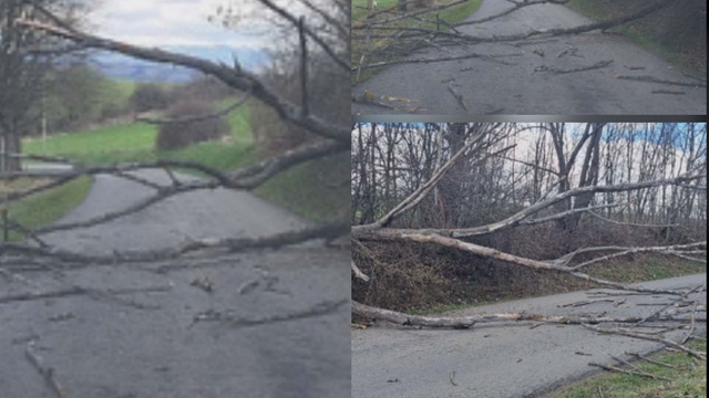 Vietor už silnie, prví Slováci sú bez elektriny a láme stromy. Nárazy vetra budú ešte silnejšie