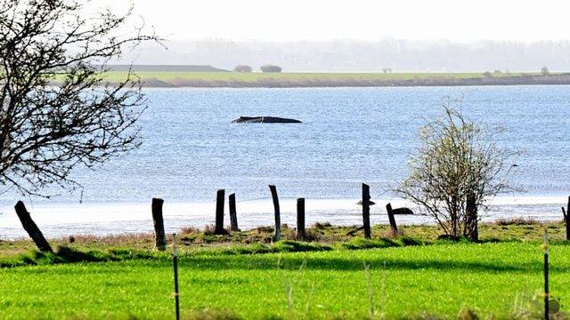 Stane sa Veľkonočný zázrak? Hladina vody začína stúpať a zajtrajšok rozhodne o osude Timmyho