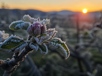 V noci poriadne prituhne. Teploty klesnú aj pod -6 °C