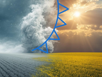 Zima straší, že sa vráti. Sledujte tento dátum