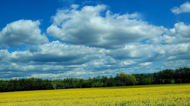 Predpoveď na stredu, 22. apríla: Čaká nás poriadne mrazivé ráno. Platia výstrahy