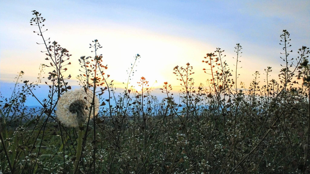 Počasie na zajtra, štvrtok 16. apríla. Teploty prudko porastú, no nezabudnite si pribaliť dáždniky