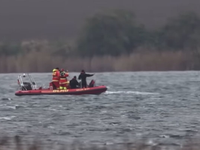 Dráma pri záchrane veľryby Timmy: Hádky, ego a obvinenia. Odstúpila expertka z Havaja