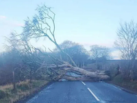 Vietor už dosiahol rýchlosť 145 km/h, ľudia sú bez elektriny