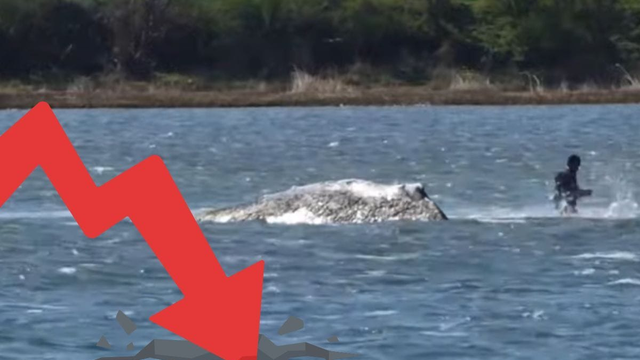 „Nechajte ho na pokoji a konečne sa venujte dôležitým veciam.“ Ekonomika klesá a my sa venujeme veľrybe