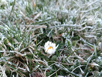 Máme za sebou ďalšiu extrémne mrazivú noc: Kedy to skončí?