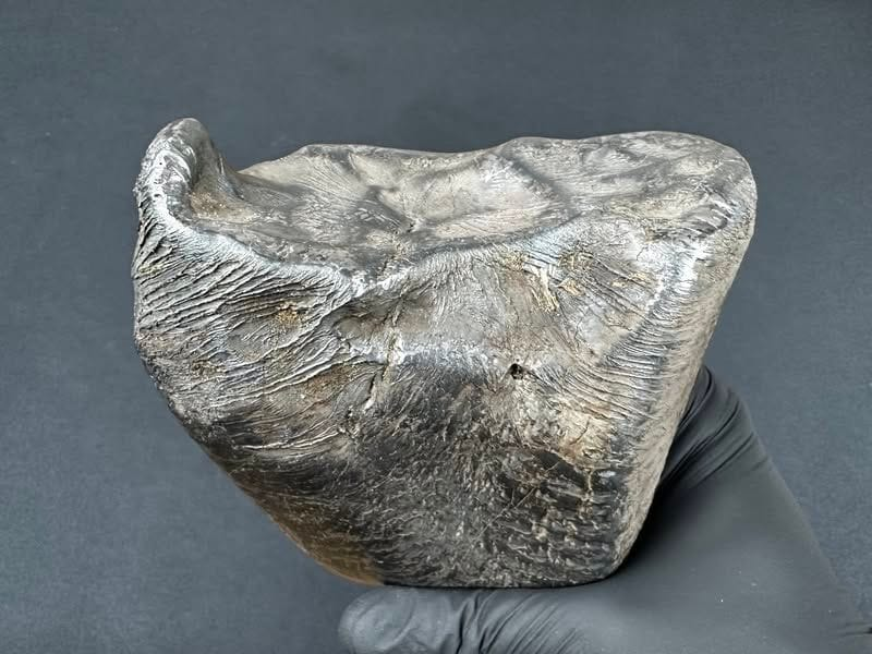 Nájdený meteorit v Poľsku, zdroj: Skytinel