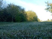 Slovensko znova zasiahli silné nočné mrazy. Teploty klesli pod -5 °C