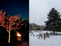 Úrodu poničili mrazy a ešte to nekončí, niekde aj napadol sneh