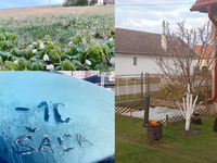 Máme za sebou veľmi mrazivú noc: Takto hlboko klesali teploty, ovocinári mali plné ruky práce