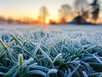 Mráz stále hrozí pri zemi. Dokedy bude takto chladno?