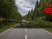 Zmena, ktorá sa nám páčiť nebude, je už tu. Slovensko sa zobúdza do veterného rána
