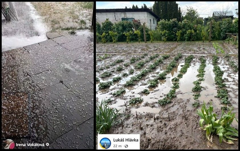 Škody po búrkach na Znojemsku, zdroj: facebook.com/Meteo Včasné varování