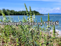Predpoveď počasia na týždeň: Najprv mráz, ku koncu týždňa letné horúčavy