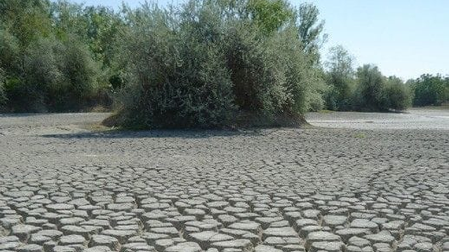 SUCHO: Už to prestáva byť sranda. 20 cm pôdy je bez života, tvoria sa trhliny v zemi