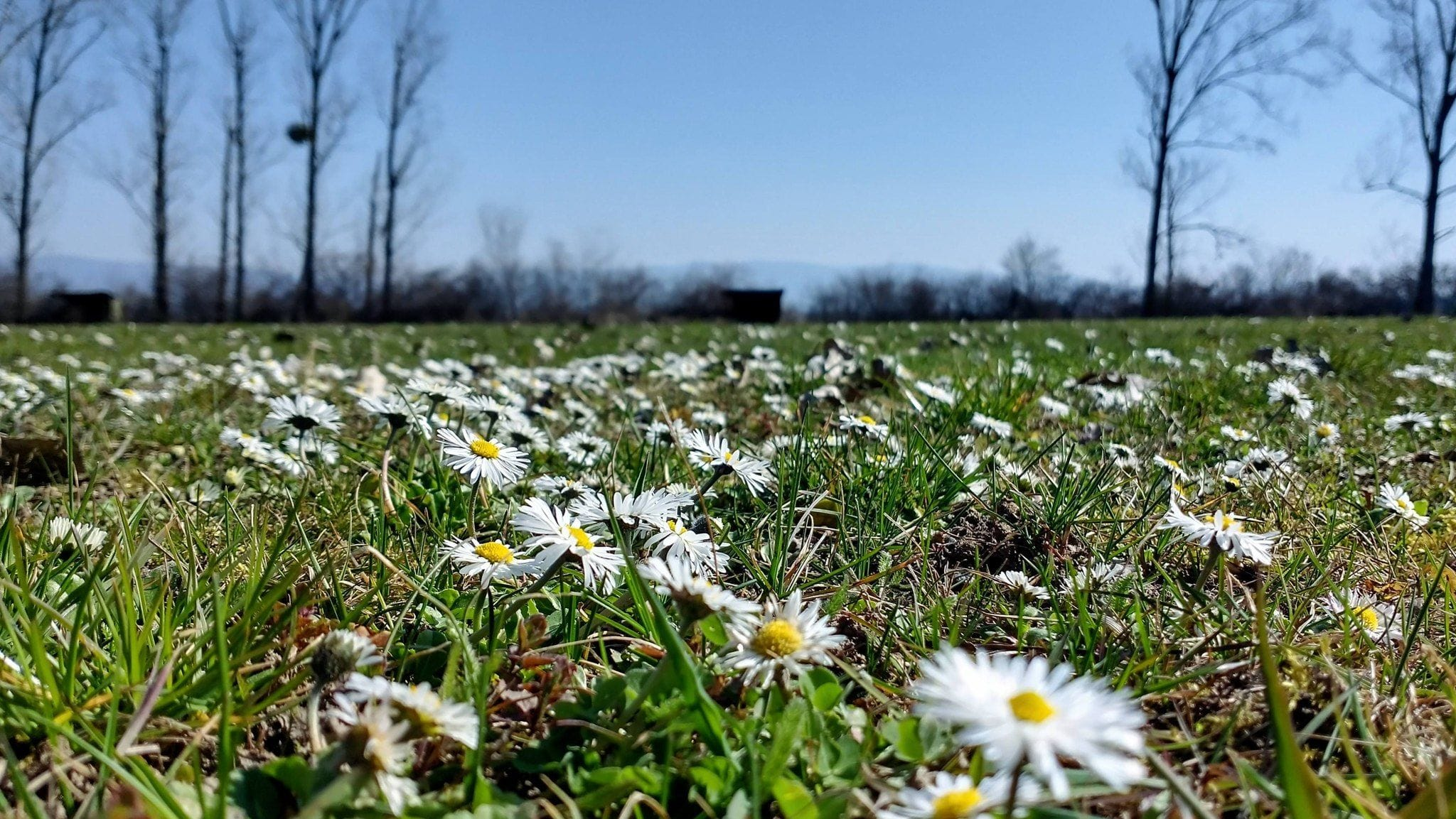 Fotka dňa: Mária Škundová