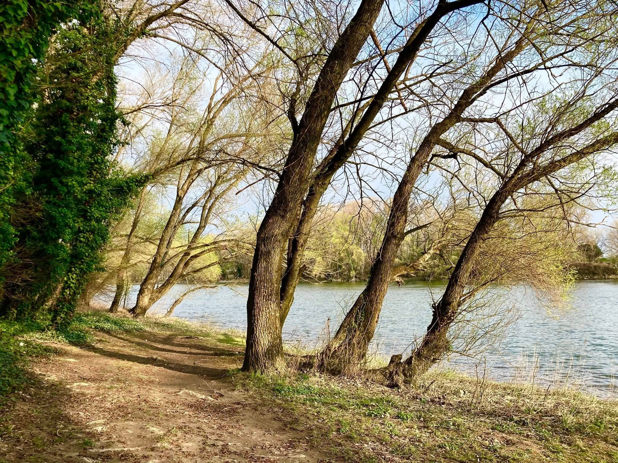 Fotka dňa: Magdaléna Hatalová/ Šaľa