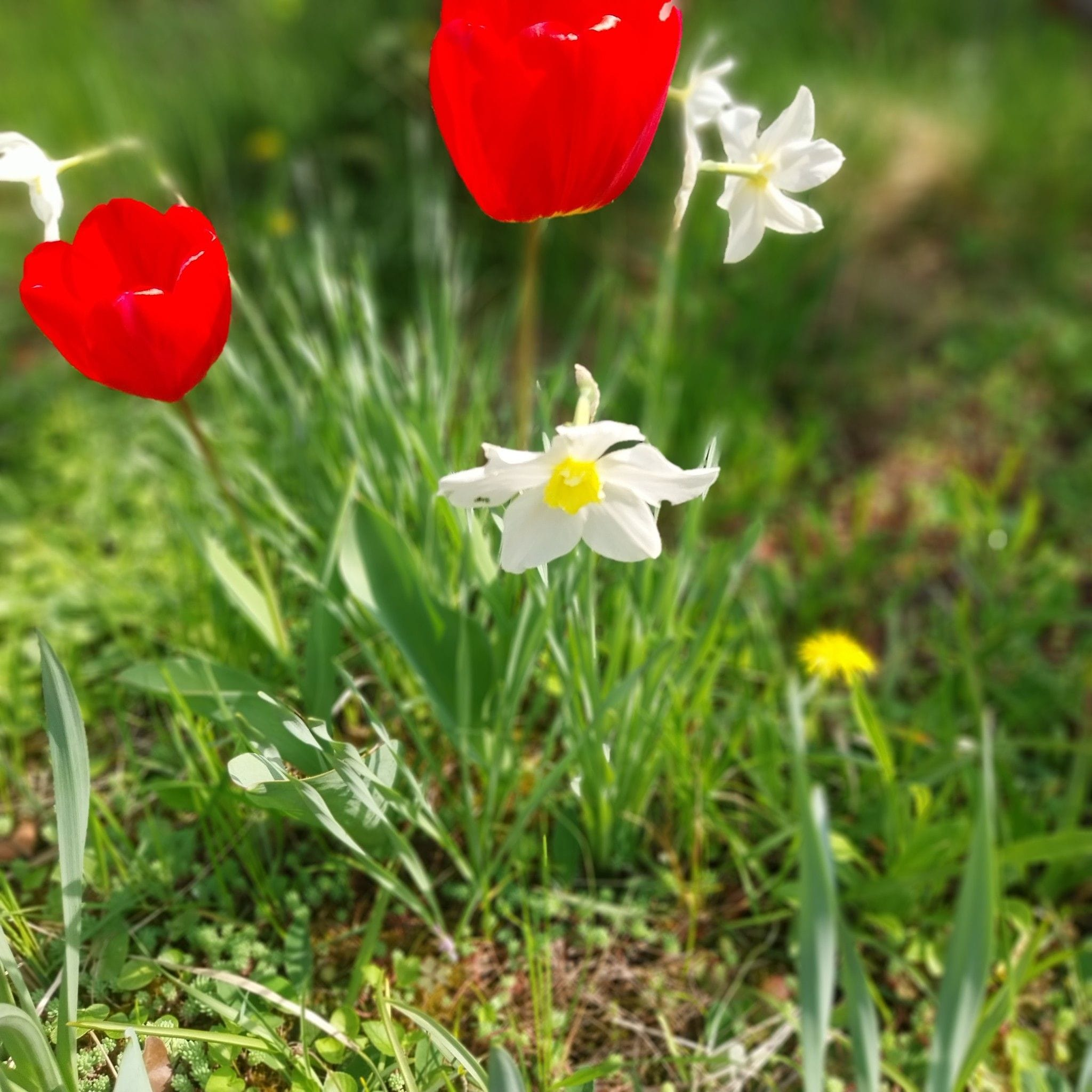 Foto: Danka Valkova (Bratislava)