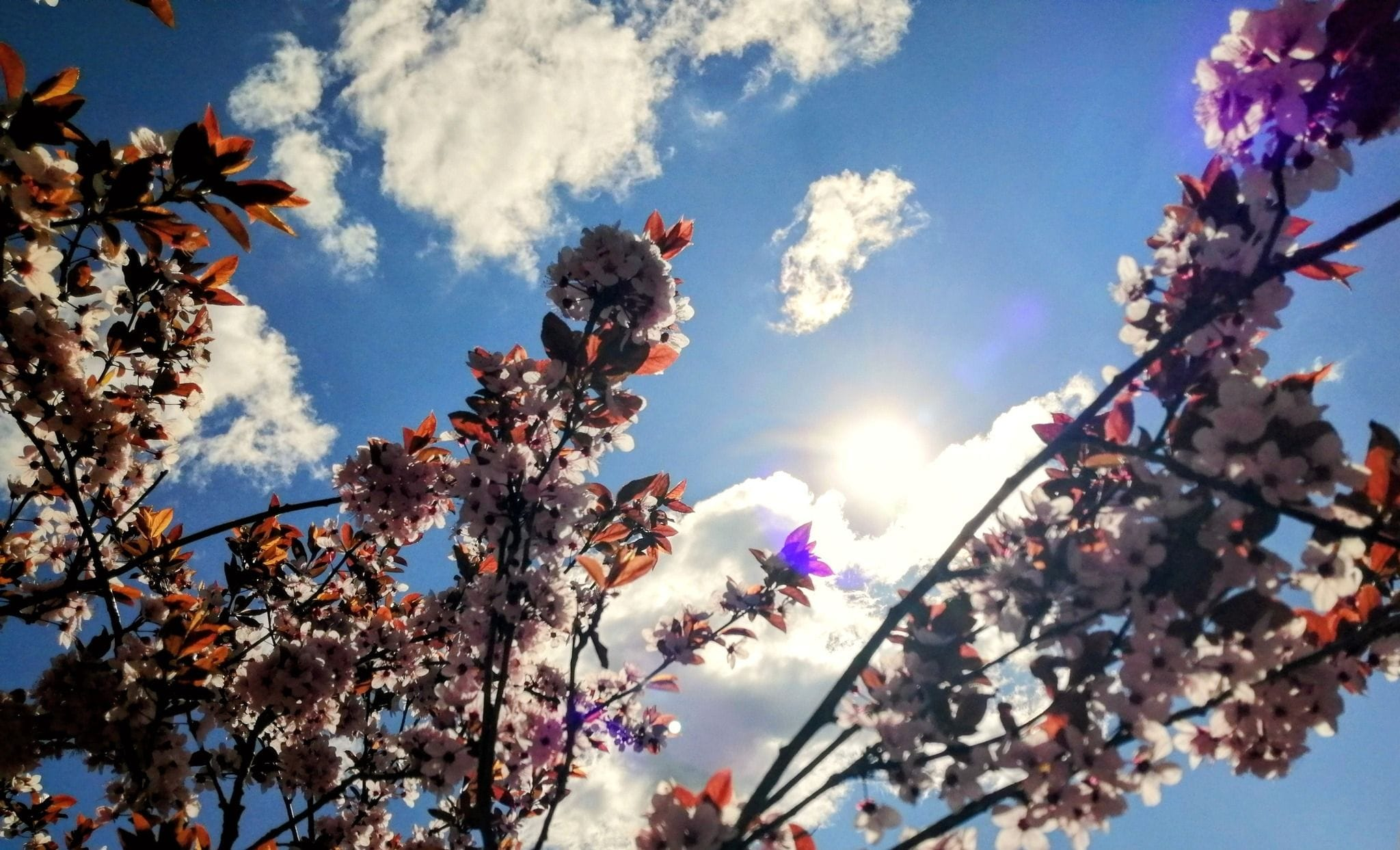 FOTKA DŇA: Anna Blašková - Dolný Kubín