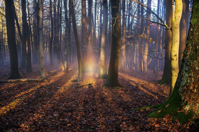 Brockenov prízrak na Slovensku, Foto: Ľuboslav