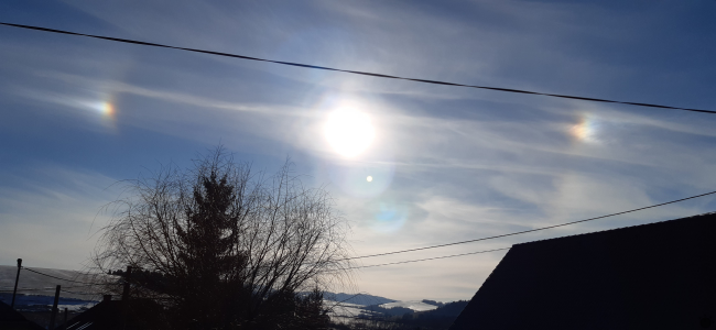 zdroj: Viera Skoncová