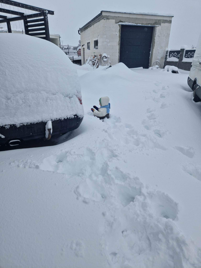 v oblasti Šariša majú až 40 cm, foto: Erika Ejka