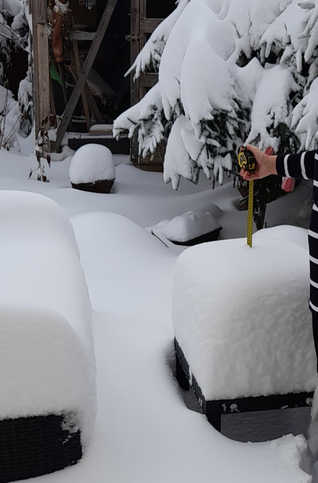 v okolí Prešova spadlo najviac snehu, lokálne až 40 cm, foto: Terézia Jašková